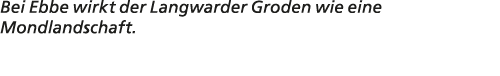 Bei Ebbe wirkt der Langwarder Groden wie eine Mondlandschaft.