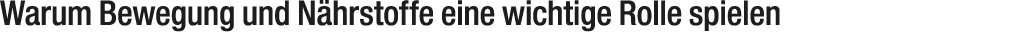 Warum Bewegung und N hrstoffe eine wichtige Rolle spielen