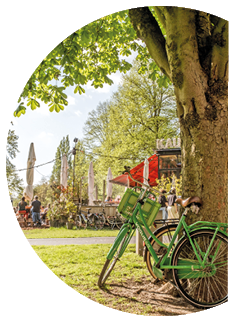 Zwei Fahrr der lehnen an einem Baum in einem sonnigen Park, w hrend im Hintergrund Menschen an Tischen unter Sonnenschirmen sitzen. Beschreibung von KI generiert