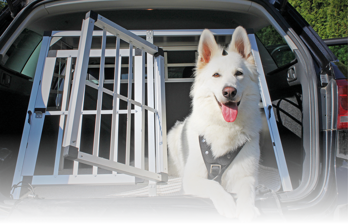 Ein wei er Hund mit schwarzem Geschirr liegt entspannt im ge ffneten Kofferraum eines Fahrzeugs neben einem ge ffneten Metallgitter. Beschreibung von KI generiert
