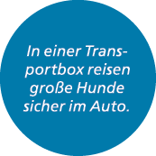 In einer Transportbox reisen gro e Hunde sicher im Auto.
