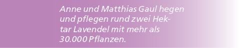 Anne und Matthias Gaul hegen und pflegen rund zwei Hektar Lavendel mit mehr als 30.000 Pflanzen. 
