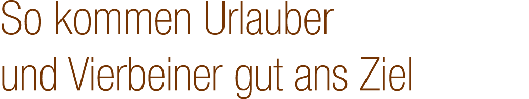 So kommen Urlauber und Vierbeiner gut ans Ziel