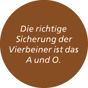 Die richtige Sicherung der Vierbeiner ist das A und O. 