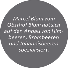 Marcel Blum vom Obsthof Blum hat sich auf den Anbau von Himbeeren, Brombeeren und Johannisbeeren spezialisiert.