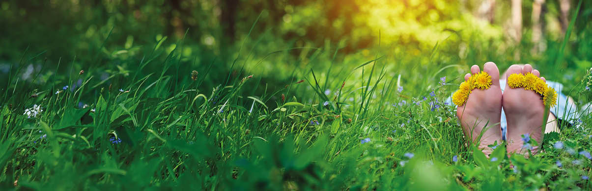 Zwei F e mit gelben Blumen zwischen den Zehen liegen entspannt inmitten von gr nem Gras und Wildblumen in einem sonnendurchfluteten Wald.  Beschreibung von KI generiert