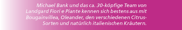 Michael Bank und das ca. 30 k pfige Team von Landgard Fiori e Piante kennen sich bestens aus mit Bougainvillea, Olean...