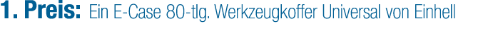 1. Preis: Ein E Case 80 tlg. Werkzeugkoffer Universal von Einhell