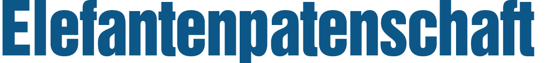 Elefantenpatenschaft