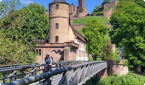Eine Person mit Helm f hrt mit dem Fahrrad ber eine Br cke vor einer historischen Burganlage mit T rmen und viel Gr n bei blauem Himmel.  Beschreibung von KI generiert