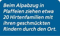 Beim Alpabzug in Plaffeien ziehen etwa 20 Hirtenfamilien mit ihren geschm ckten Rindern durch den Ort.