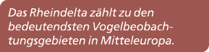 Das Rheindelta z hlt zu den bedeutendsten Vogelbeobachtungsgebieten in Mitteleuropa.