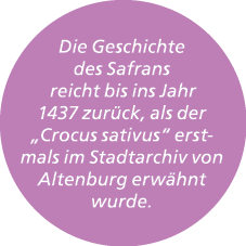 Die Geschichte des Safrans reicht bis ins Jahr 1437 zur ck, als der „Crocus sativus“ erstmals im Stadtarchiv von Alte...