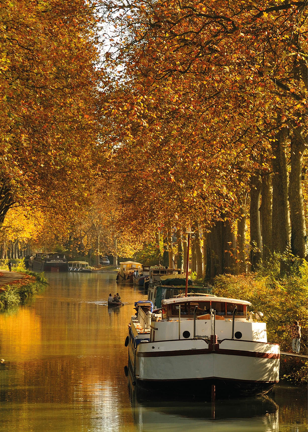 Ein ruhiger Fluss mit einem Boot und mehreren Personen auf einem Weg entlang von B umen mit herbstlich gef rbtem Laub. Beschreibung von KI generiert