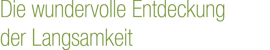 Die wundervolle Entdeckung der Langsamkeit 