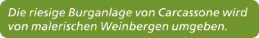Die riesige Burganlage von Carcassone wird von malerischen Weinbergen umgeben. 