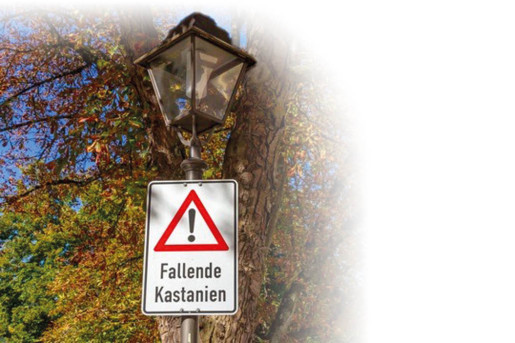 Ein Verkehrsschild mit einem roten Dreieck und Ausrufezeichen warnt vor fallenden Kastanien an einem Laternenpfahl vor herbstlich gef rbten B umen. Beschreibung von KI generiert