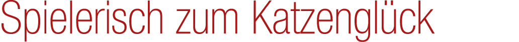 Spielerisch zum Katzengl ck