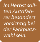 Im Herbst sollten Autofahrer besonders vorsichtig bei der Parkplatzwahl sein. 