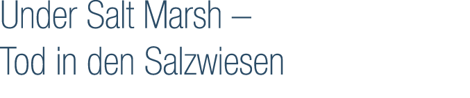 Under Salt Marsh – Tod in den Salzwiesen