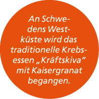 An Schwedens Westk ste wird das traditionelle Krebsessen „Kr ftskiva“ mit Kaisergranat begangen.