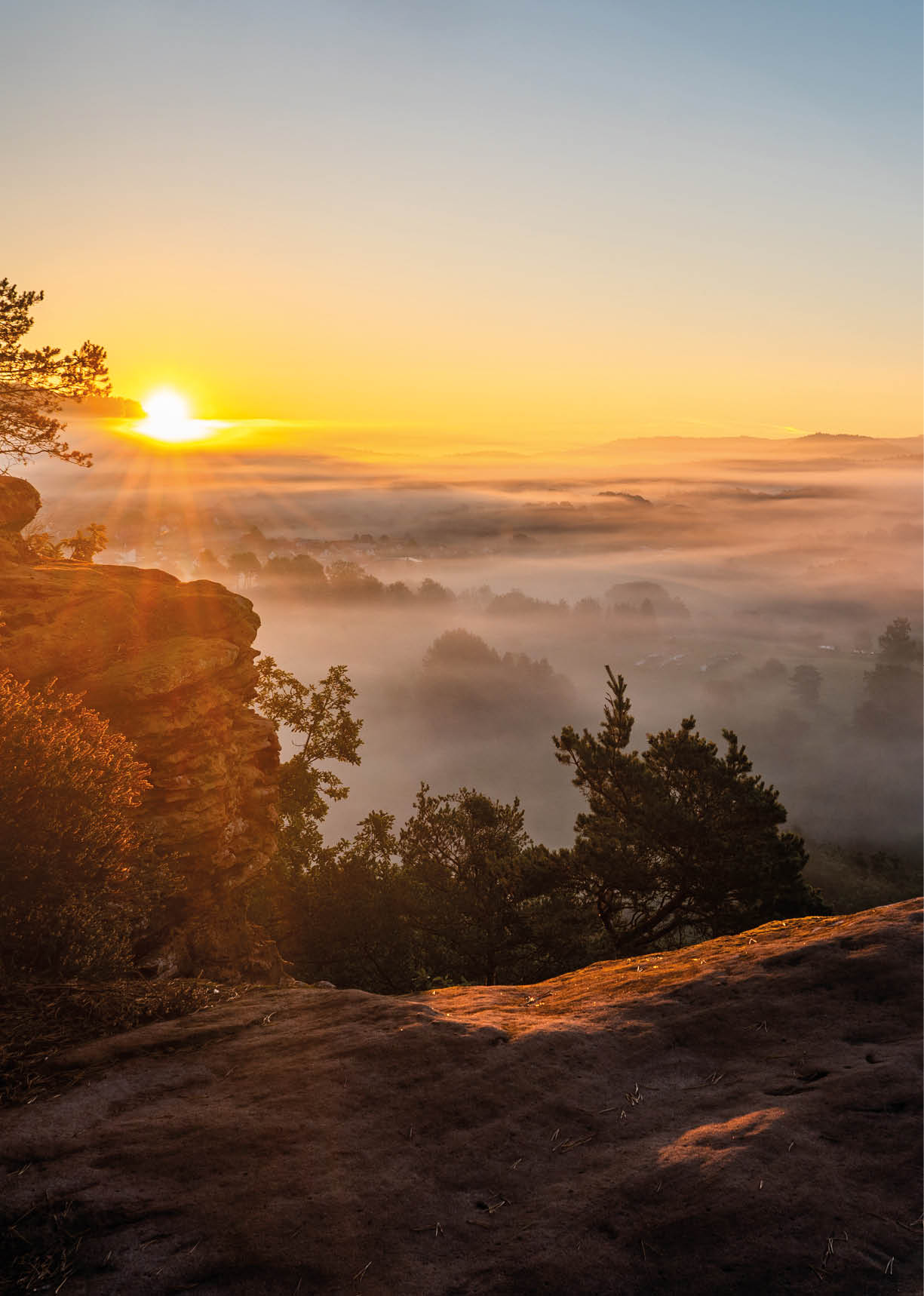 Die Sonne geht ber einer nebligen Landschaft mit Felsen und B umen auf, die eine ruhige und malerische Stimmung erzeugt.  Beschreibung von KI generiert