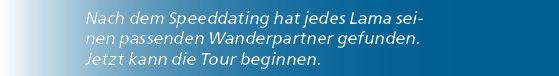 Nach dem Speeddating hat jedes Lama seinen passenden Wanderpartner gefunden. Jetzt kann die Tour beginnen.